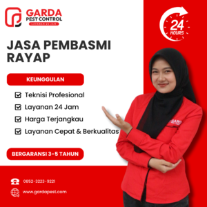 Kontraktor Pembasmi Rayap Surabaya