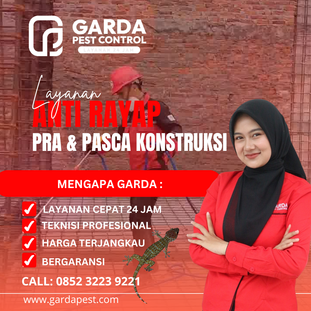 Pembasmi Rayap Profesional Surabaya: Lindungi Aset Anda dari Ancaman Tersembunyi