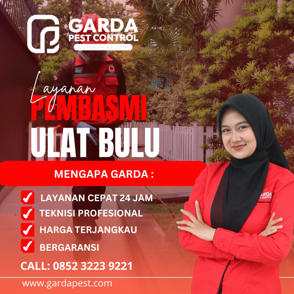 Jasa Pembasmi Ulat Bulu di Surabaya Pest Control Berkualitas