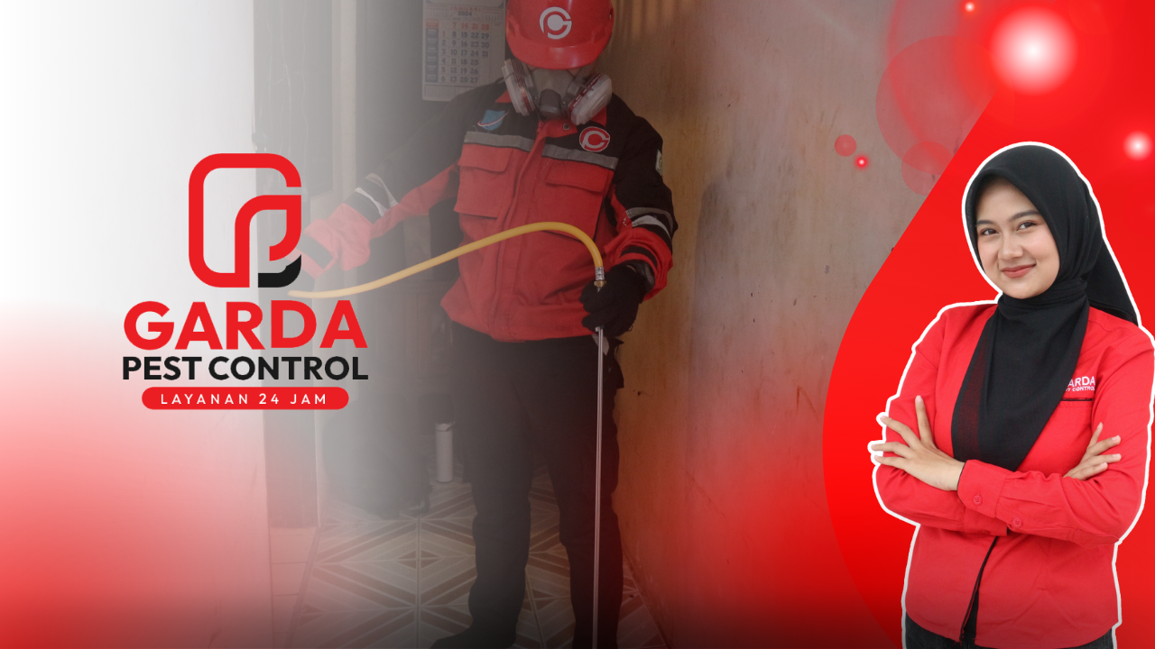 Panduan Lengkap: Cara Membasmi Rayap Sendiri Hingga Tuntas