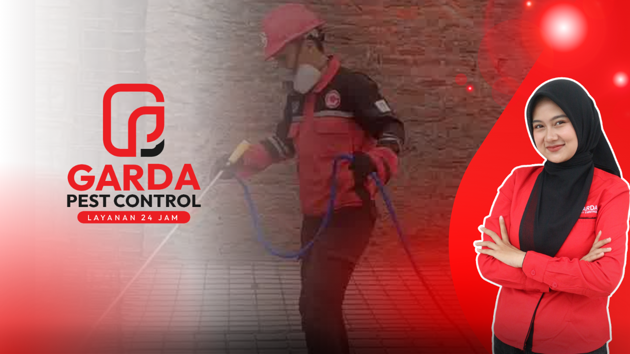 Harga Jasa Basmi Rayap Surabaya: Panduan Lengkap dan Perlindungan Properti Efektif oleh Agata Pest Control