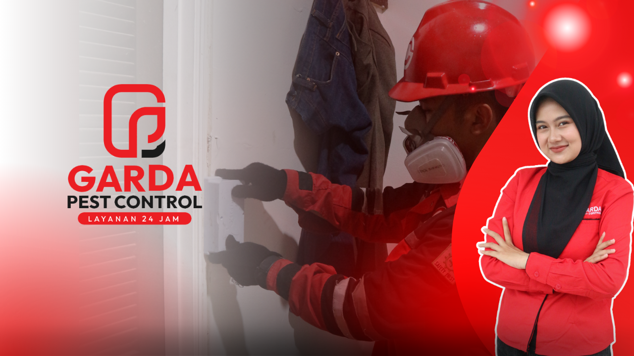 Jasa Basmi Rayap Terdekat Surabaya: Perlindungan Profesional Agata Pest Control untuk Properti Anda