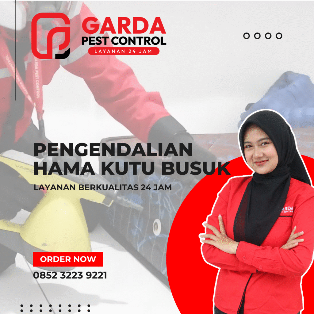Jasa Pembasmi Kutu Busuk di Surabaya Pest Control Profesional