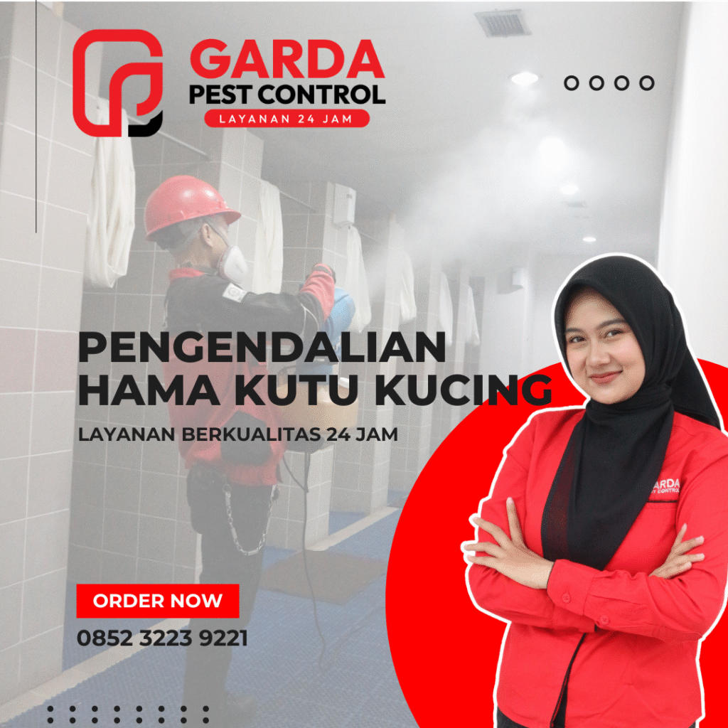 Jasa Pembasmi Kutu Kucing di Surabaya Pest Control Bergaransi