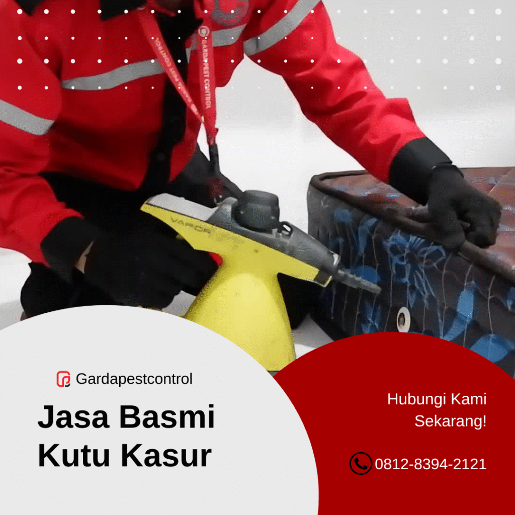 Jasa Pembasmi Kutu Kasur di Surabaya Pest Control Profesional