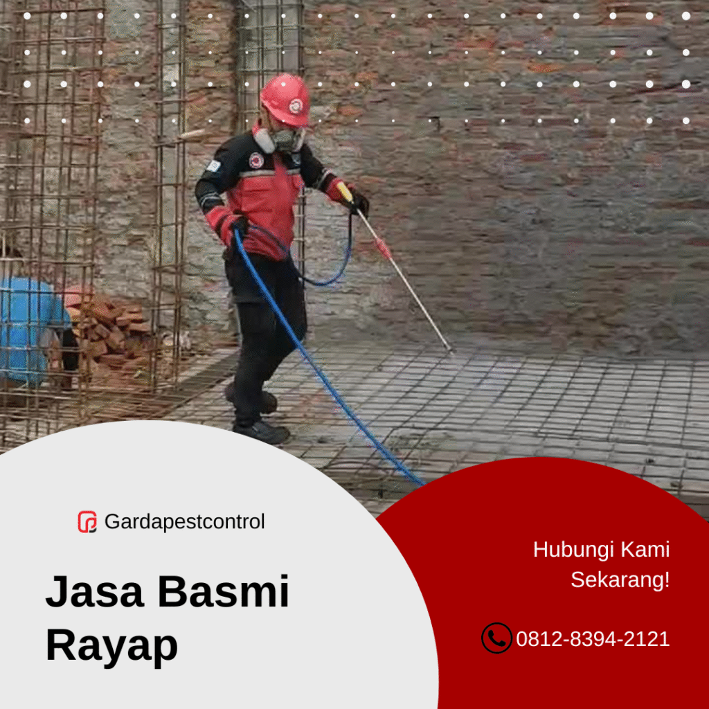 Jasa Anti Rayap di Surabaya Pest Control Bergaransi