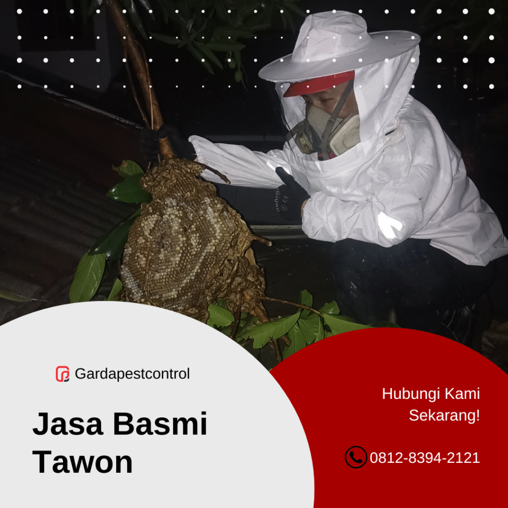 Jasa Pembasmi Tawon di Surabaya Pest Control Bergaransi