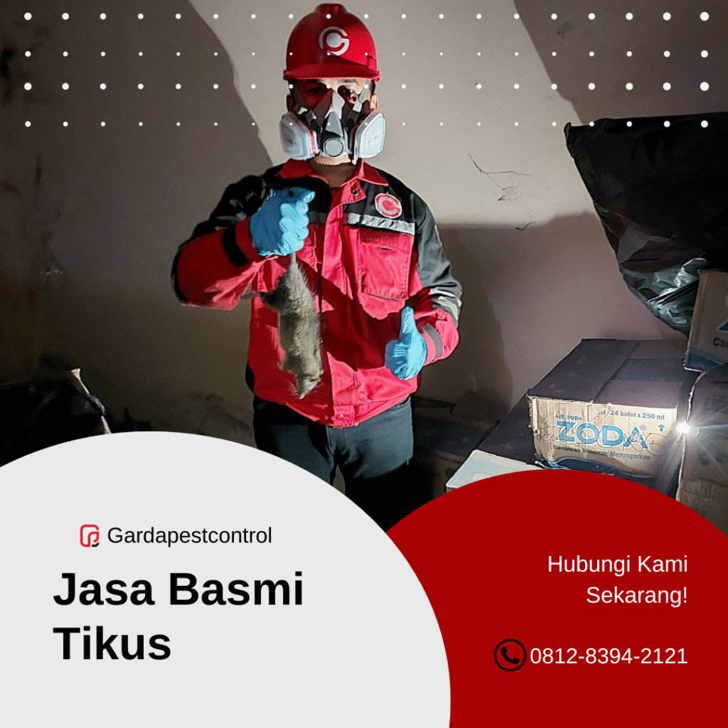 Jasa Pembasmi Tikus di Surabaya Pest Control Profesional