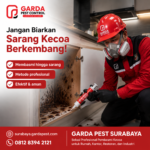 Jasa Pembasmi Kecoa Surabaya Bergaransi Tuntas - Agata Pest Control