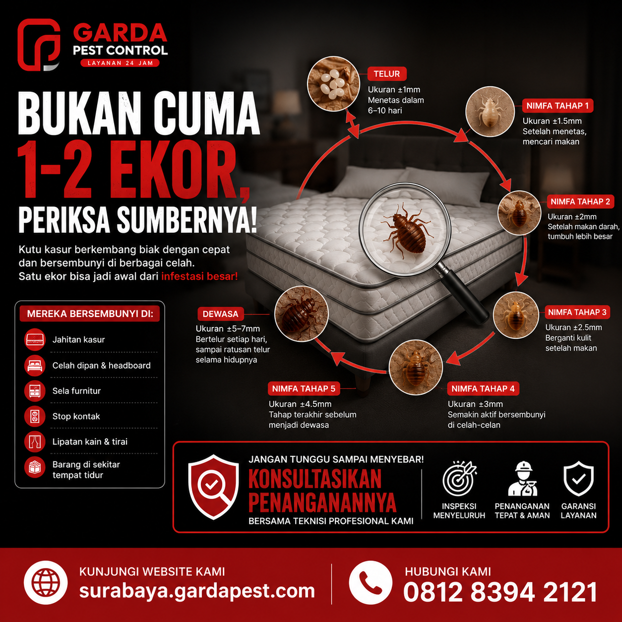 Biaya Jasa Pembasmi Kutu Kasur, Jasa Pembasmi Hama Kutu Kasur, Jasa Pembasmi Kutu Kasur Semarang, Jasa Pembasmi Kutu Kasur Terdekat
